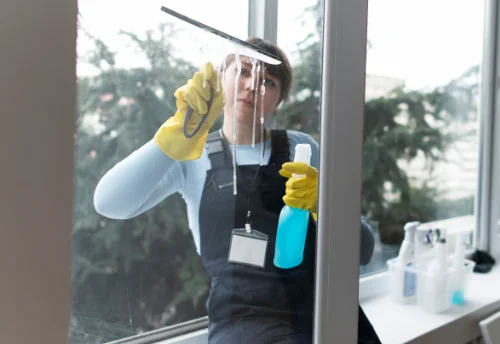 Nettoyage de vitres intérieures et extérieures à Lannes